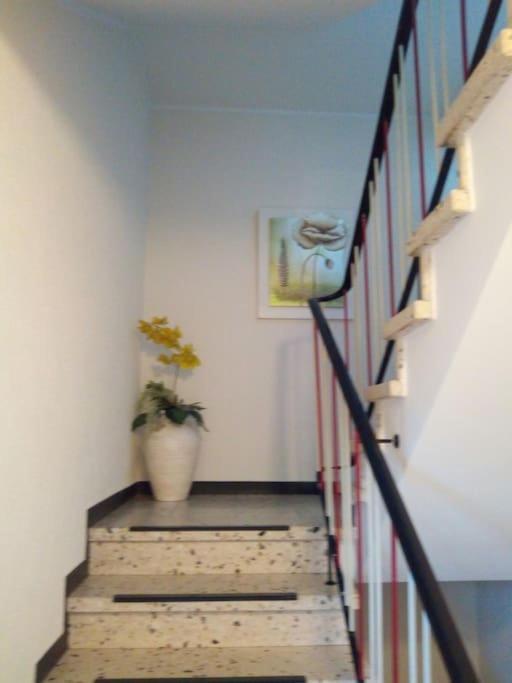Ferienwohnung Marita Rietberg Exterior foto